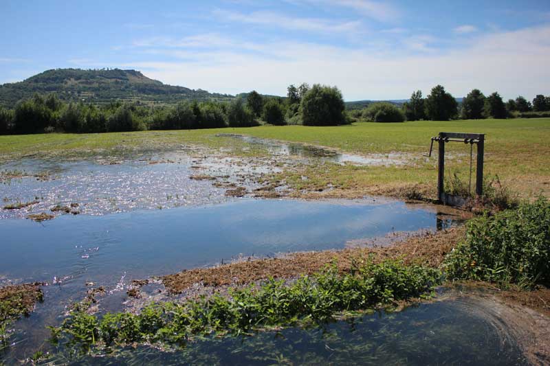 Mühl- und Auerberg-Wiesen bei Kirchehrenbach in Franken