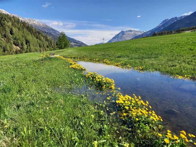 Malser Haide Südtirol