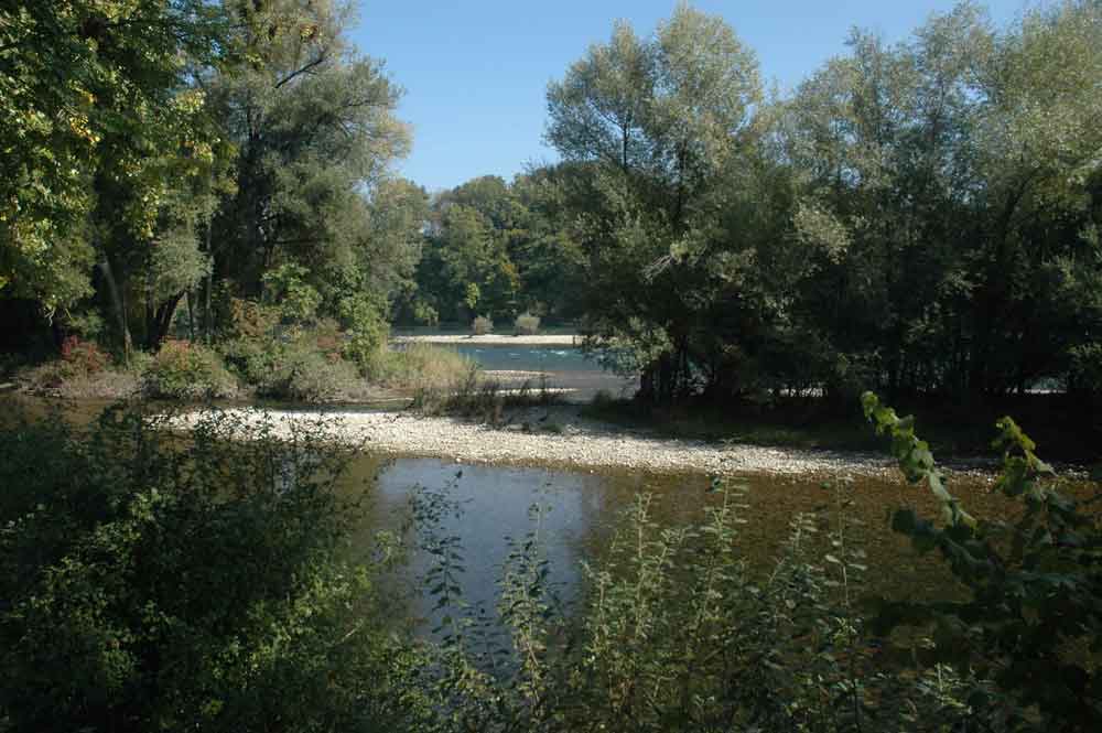 Aare bei Wynau, Bild Werner Stirnimann